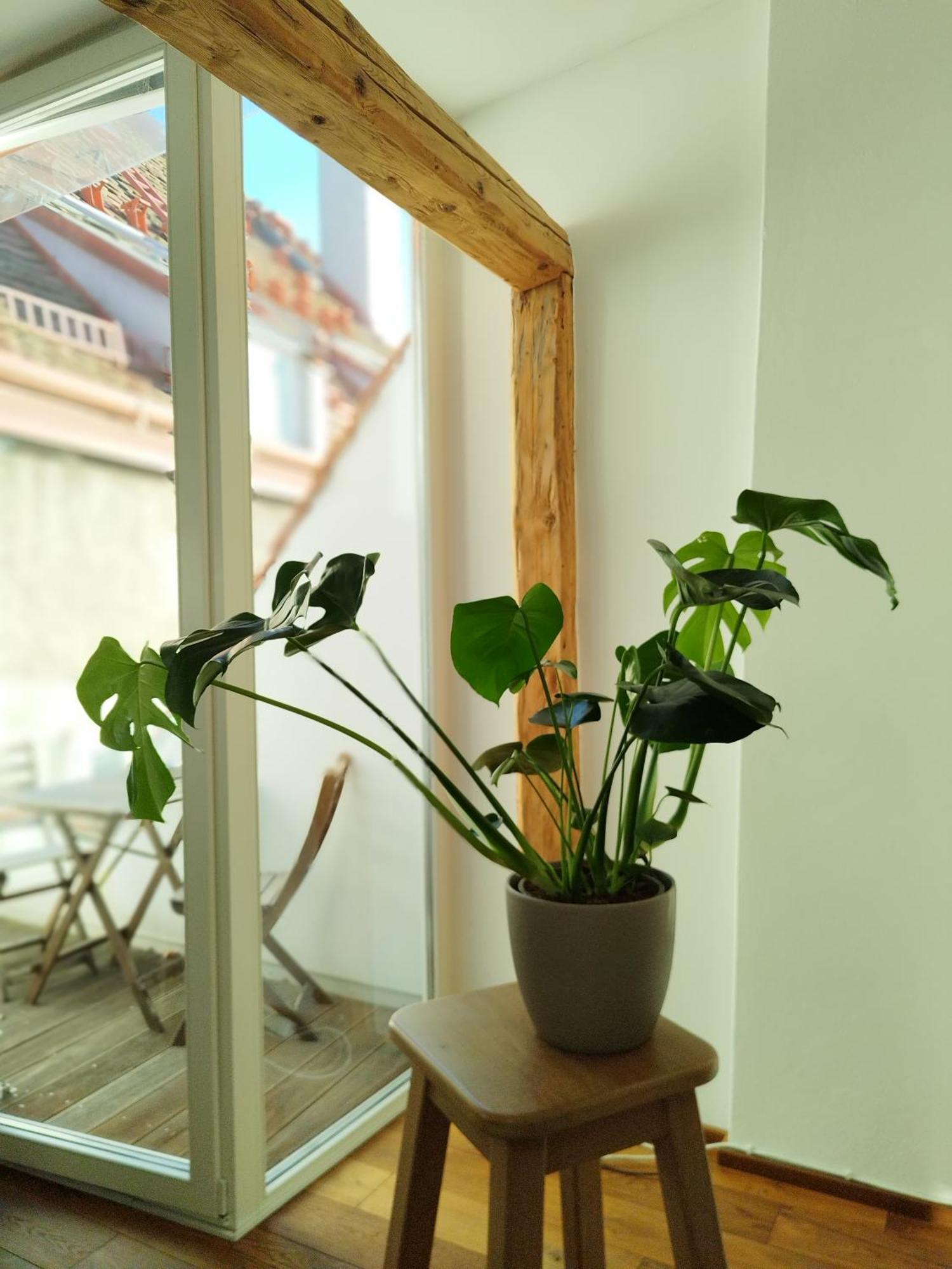 Goldene Pastete - Urban Luxury Apartments Graz Luaran gambar